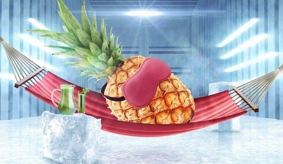 Thumbnail for Kenya’s Makueni County inaugurates horticultural aggregation center