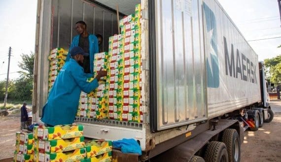 Thumbnail for Kenya opens Fuerte, Pinkerton avocado harvesting season