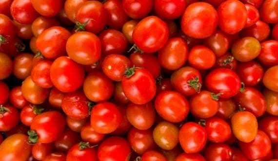 Thumbnail for Senegal suspends onion imports to boost domestic sales