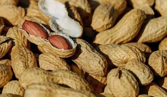 Thumbnail for Russia’s Sverdlovsk region imports 1.4M flowers in January amid tightened controls