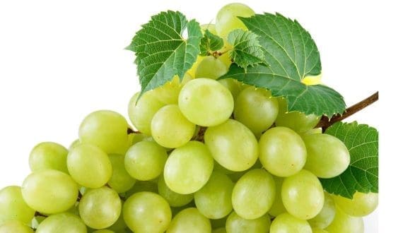 Thumbnail for Suez Canal trade faces slow recovery despite ceasefire