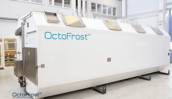 Thumbnail for Dutch Lily Days 2025: Double-bloomed varieties take center stage