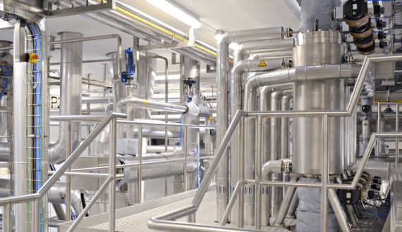 Thumbnail for Avo Africa invests USD 7.9M in avocado oil plant in Tanzania