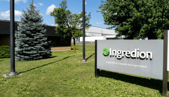 Thumbnail for Mexico’s inflation package extension drives Brazilian pork exports in 2025