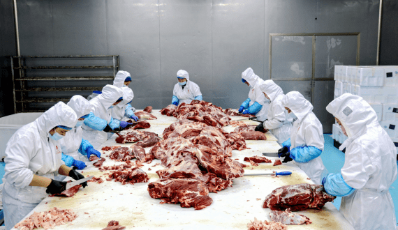 Thumbnail for ADM appoints Carrie Nichol as Vice President and Chief Accounting Officer