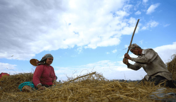 Thumbnail for  Smart Manufacturing in Beverage Production: Transforming Efficiency, Quality, and Sustainability 