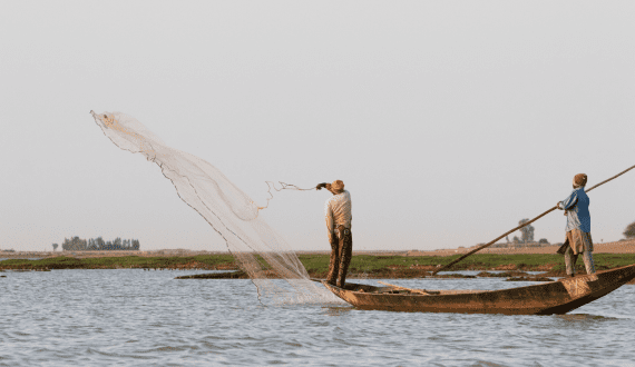 Thumbnail for Kenya’s Java House acquired by Alterra Capital, Phatisa Group