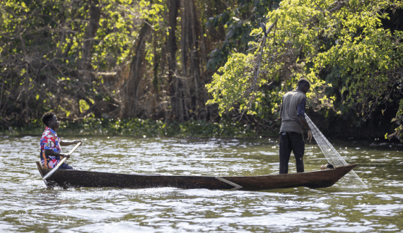 Thumbnail for Nigeria, Brazil strengthen ties to improve livestock genetics, disease control