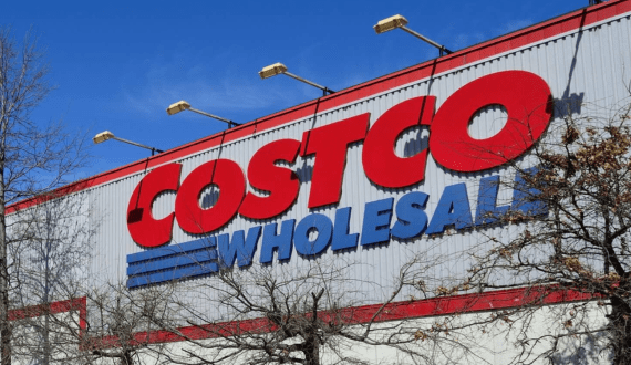 Thumbnail for Mozambique’s poultry industry to experience US$300M in loss after post-election protests