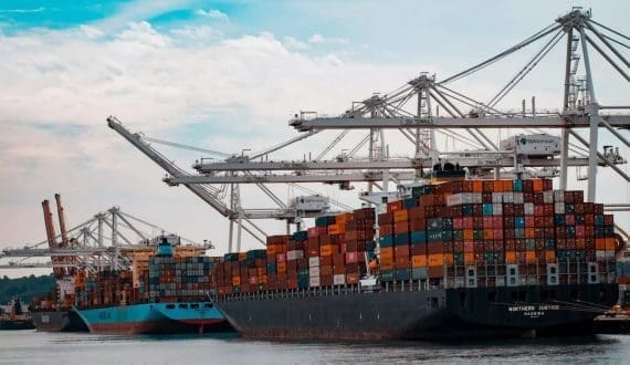 Thumbnail for Priva, Blue Radix forge stronger partnership to boost AI in horticulture