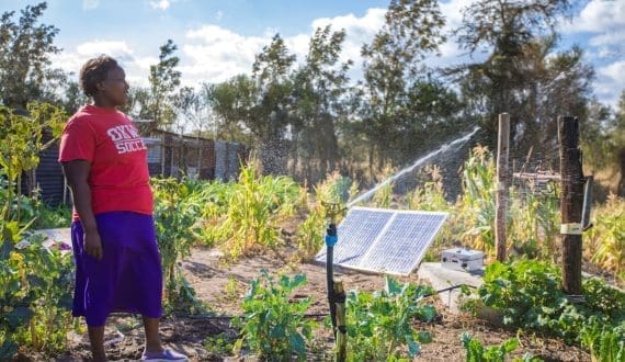 Thumbnail for Ghana appoints Andy Osei Okrah as acting CEO of Tree Crops Development Authority 