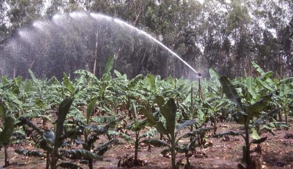 Thumbnail for Nestlé introduces new KitKat tablets in Europe aiming to meet evolving consumer preferences