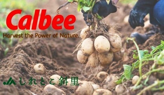 Thumbnail for Morocco strengthens position in Southeast Asian blueberry market