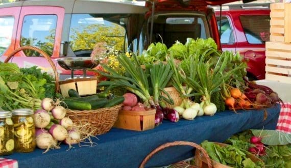 Thumbnail for Madinah’s date production surges by 31% in 2024