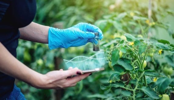 Thumbnail for Ingredion invests US$100M in Indianapolis plant to improve efficiency