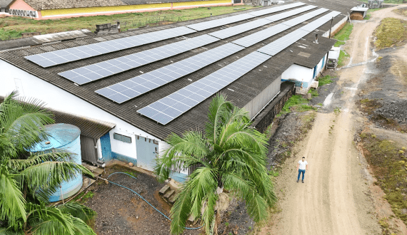 Thumbnail for Germany’s meat production shows rise in 2024 after years of decline