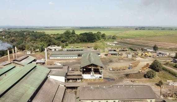 Thumbnail for Tanzania urges African nations to invest in coffee value addition 