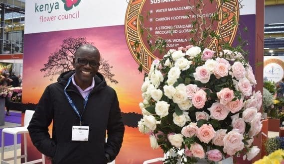 Thumbnail for Tanzanian avocado farmers receive payments after government orders debt settlement