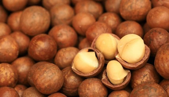 Thumbnail for Côte d’Ivoire expands potato and onion production with Dutch support