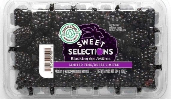 Thumbnail for Ethiopia’s Bahir Dar flower farms gear up for Valentine’s Day surge