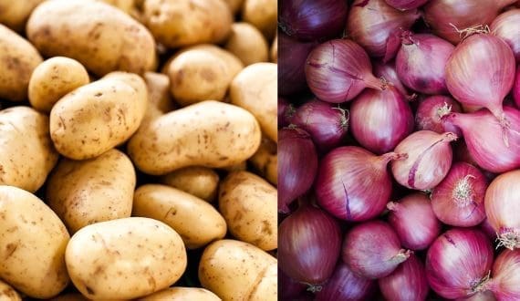 Thumbnail for Kenya reinforces macadamia export ban to boost local processing