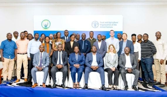 Thumbnail for GrubMarket expands presence with Bay Cities, Sally Produce acquisitions