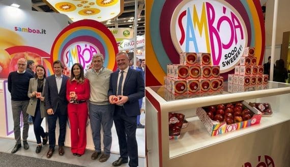 Thumbnail for Philippines allocates US$51M for cold storage construction to support farmers