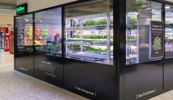 Thumbnail for Swegreen launches largest in-store vertical farm at Sweden’s ICA Maxi Ängelholm