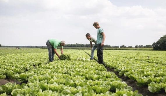 Thumbnail for Cargill Incorporation to close Hazleton cocoa plant