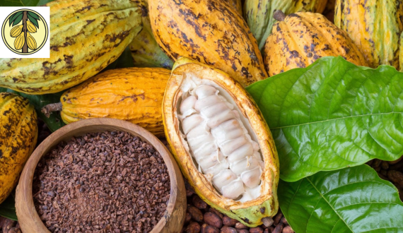 Thumbnail for Nestlé launches Mocha KitKat in collaboration with Nescafé