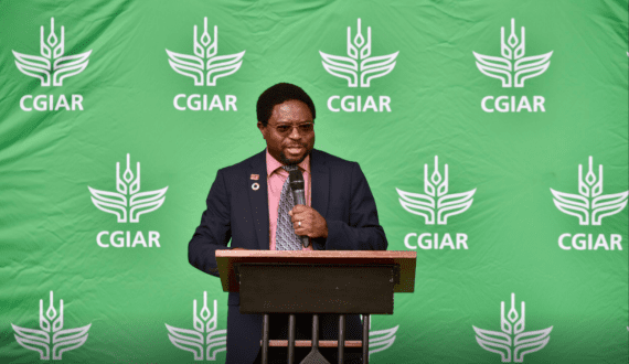 Thumbnail for China raises import tariffs on vermouth, spirits amid trade dispute 