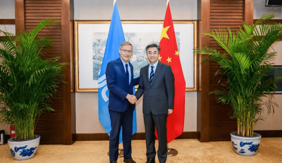 Thumbnail for USDA forecasts another growth year for Kenya’s avocado exports in 2025