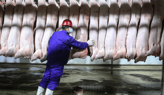Thumbnail for Brazil’s chicken meat prices surge as demand rises