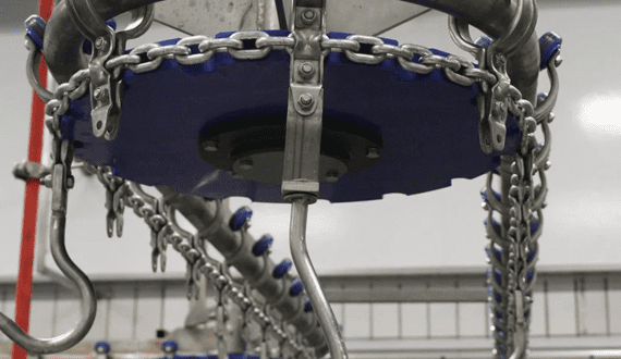 Thumbnail for Country Archer Provisions revamps brand identity with new name, packaging