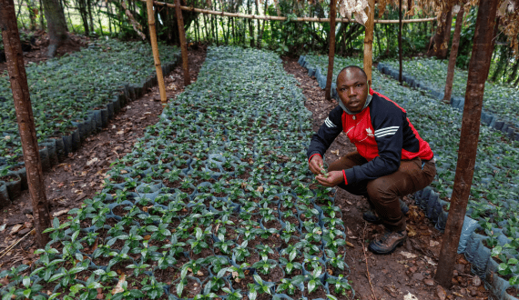 Thumbnail for Country Archer Provisions revamps brand identity with new name, packaging