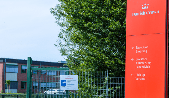 Thumbnail for Morocco strengthens position in Southeast Asian blueberry market