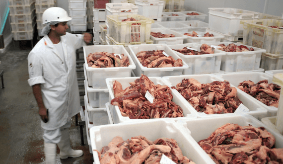 Thumbnail for Cashew nut season begins in Guinea-Bissau, farmers expect strong demand