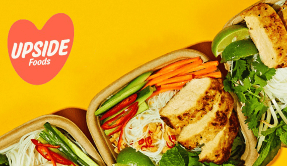Thumbnail for Upside Foods to move forward with plans to launch chicken shreds in the US
