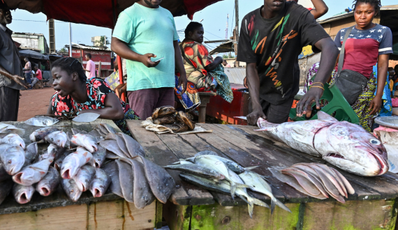 Thumbnail for Morocco, COMHAFAT to partner in standardizing fishing practices in Africa