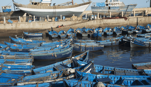 Thumbnail for Nigeria, Israel to establish joint commission to address agriculture, food security issues