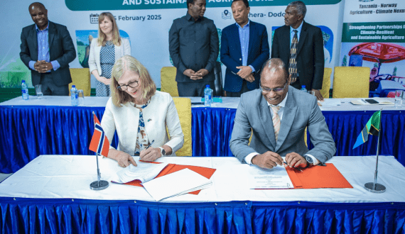 Thumbnail for Kenya’s Rio Fish to partner Koolboks to improve fish storage, conservation