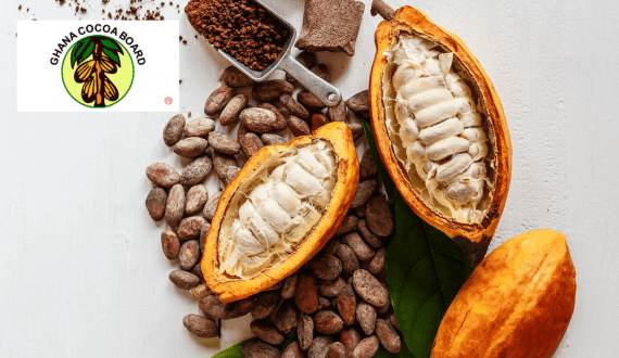 Thumbnail for Senegal completes first-ever US$35M onion dehydration plant to boost agriculture