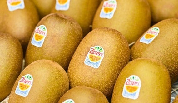 Thumbnail for EU boosts Uganda’s coffee sector with US$624K facility to enhance exports, sustainability 