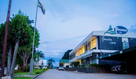 Thumbnail for Molson Coors reports 2% decline in Q4 sales 