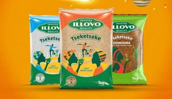 Thumbnail for Illovo Sugar Ltd reports 15% revenue growth despite 32% profit decline for 2024 
