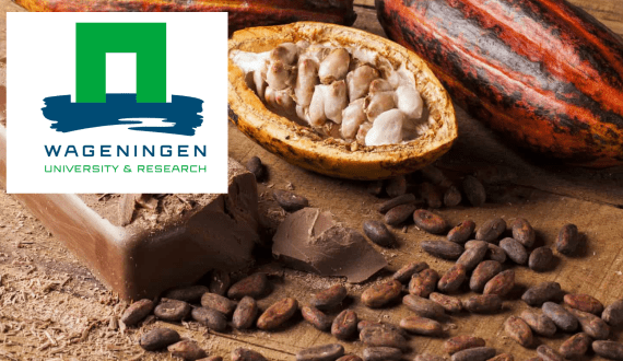 Thumbnail for Canada imposes retaliatory tariffs on U.S. pork, poultry as trade tensions rise