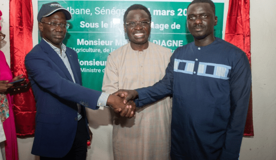 Thumbnail for Cape Town table grape exports increase despite strong winds