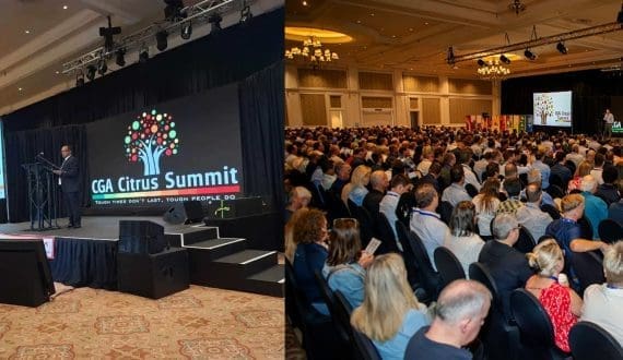 Thumbnail for Court of Appeal overturns High Court ruling on West Kenya Sugar’s appeal against Butali Sugar Mills 