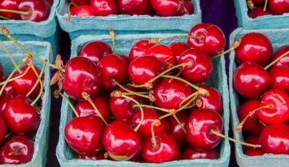 Thumbnail for Trump administration pushes for faster meat processing