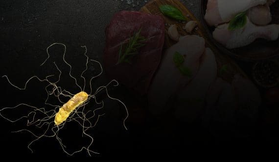 Thumbnail for William Grant & Sons appoints James Casey as new US Managing Director 